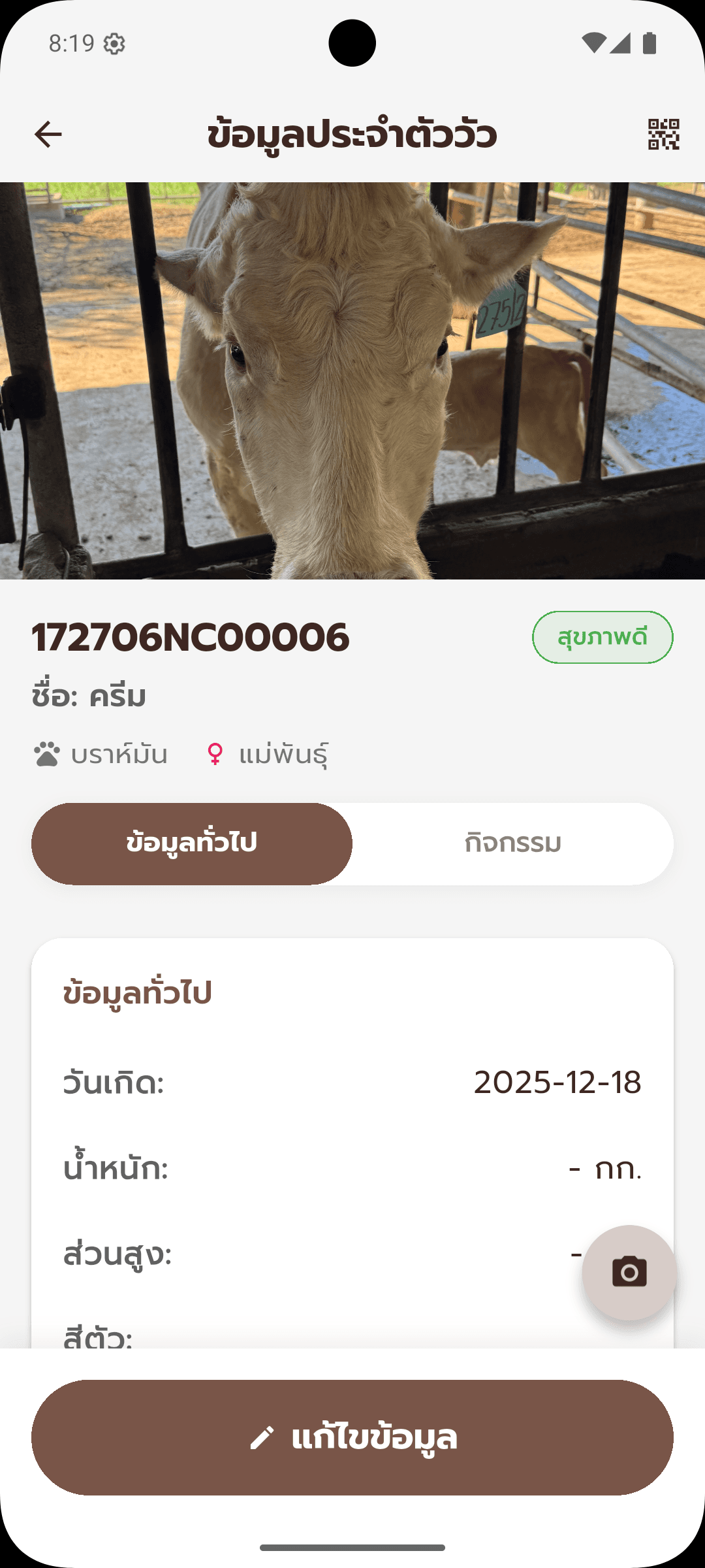 An animal's profile page: a photo of the cow, its tag ID, name, breed, a healthy status badge, and tabs for general information and activity